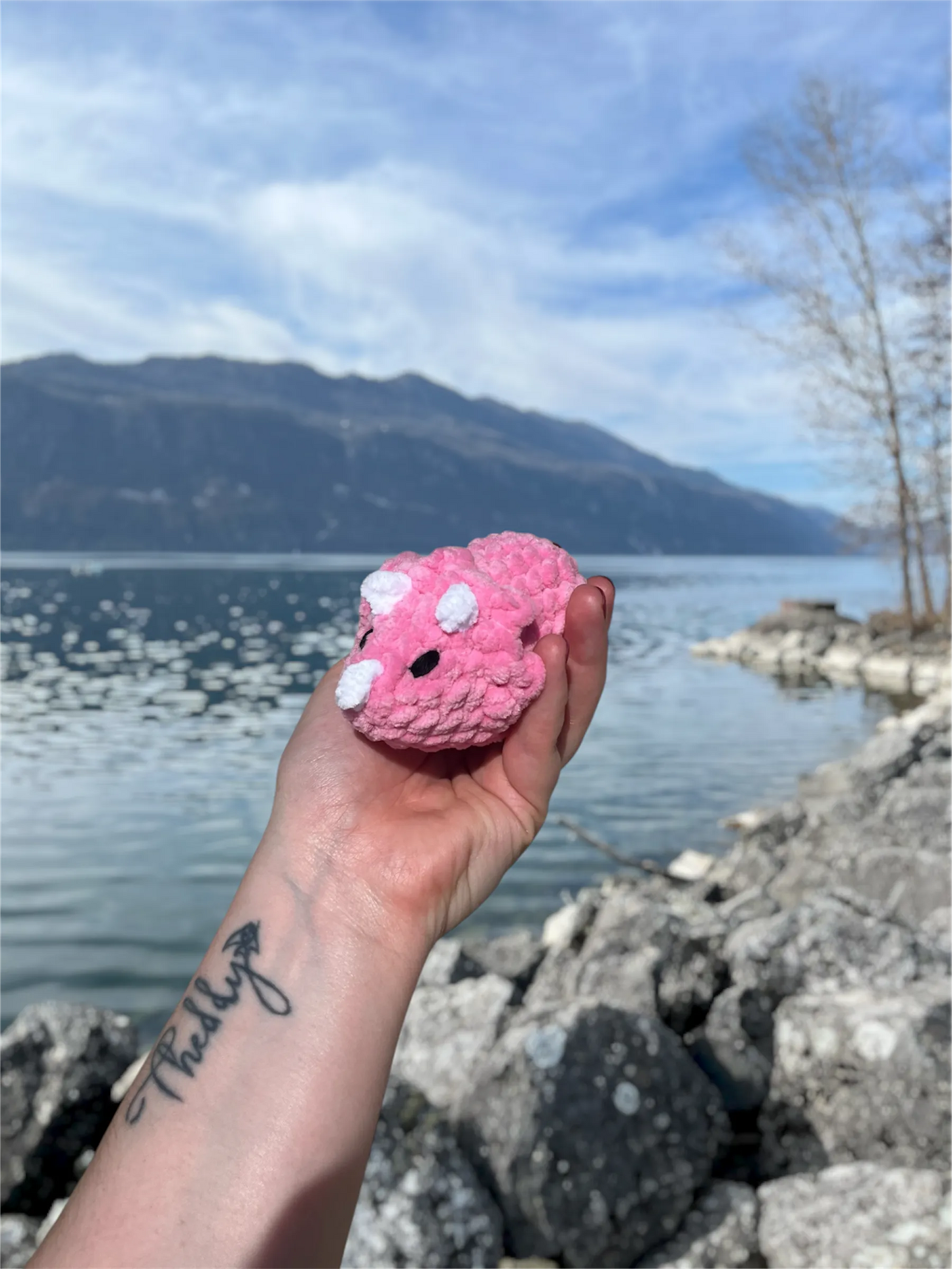 Tricératops en crochet