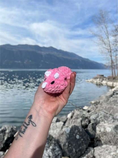 Tricératops en crochet