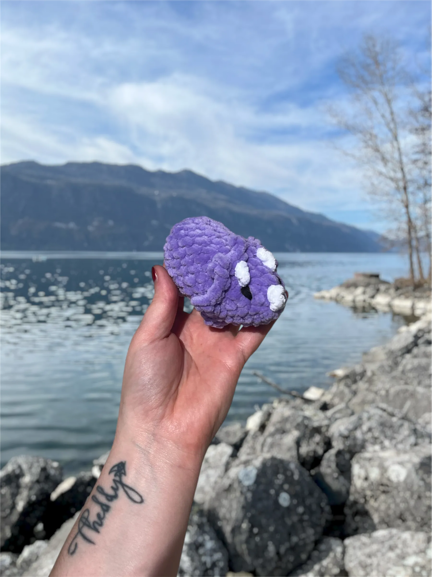 Tricératops en crochet