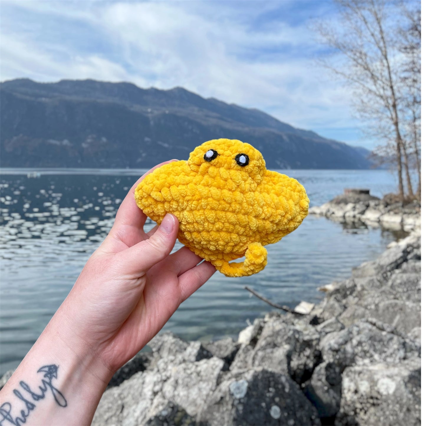 Raie en crochet