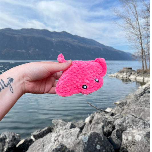 Raie en crochet